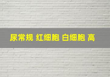 尿常规 红细胞 白细胞 高